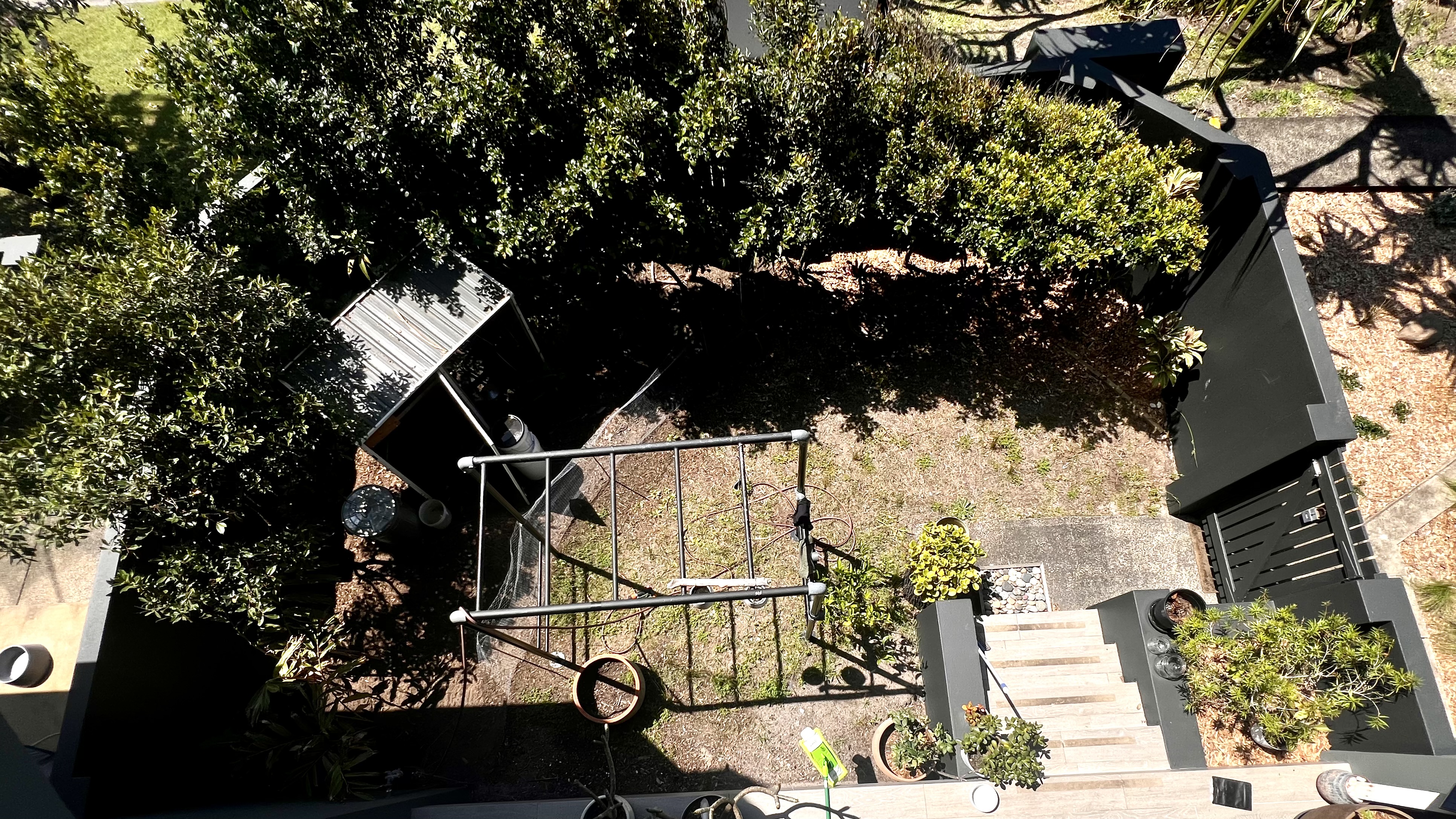 The dying lawn and a front yard full of shade and no good use