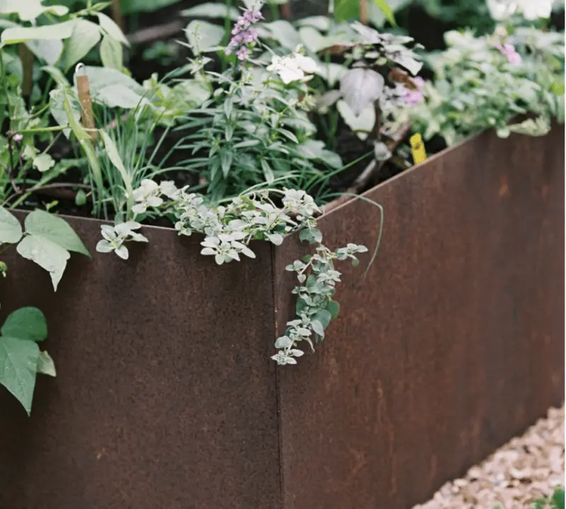 Established native garden bed