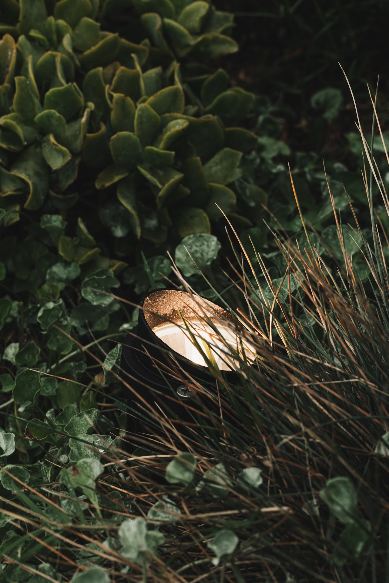 Stone water bowl set among native grasses