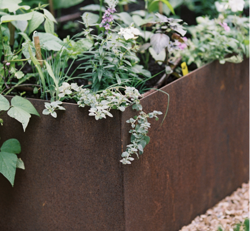 Garden Bed